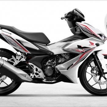 DECAL Winner mẫu 11