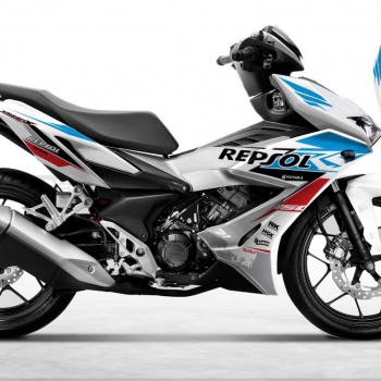 DECAL Winner mẫu 12