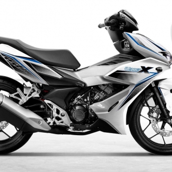 DECAL Winner mẫu 13