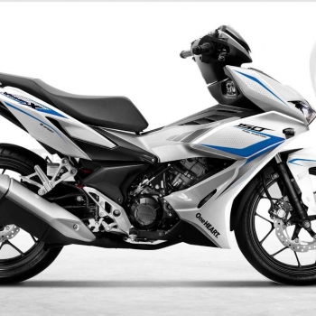 DECAL Winner mẫu 14