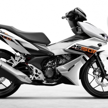 DECAL Winner mẫu 16