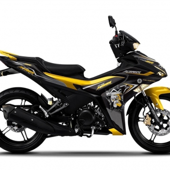 DECAL EXCITER mẫu 15