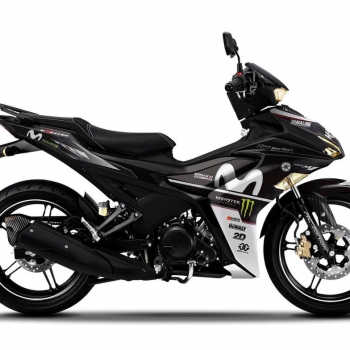 DECAL EXCITER mẫu 18