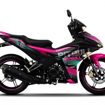 DECAL EXCITER mẫu 23