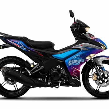 DECAL EXCITER mẫu 24