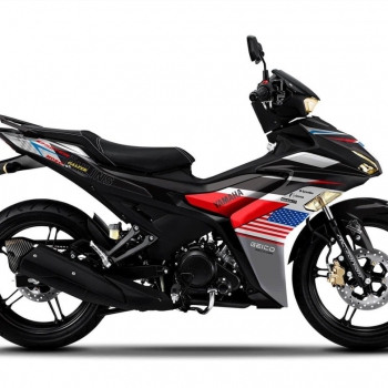 DECAL EXCITER mẫu 25