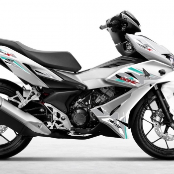 DECAL Winner mẫu 17