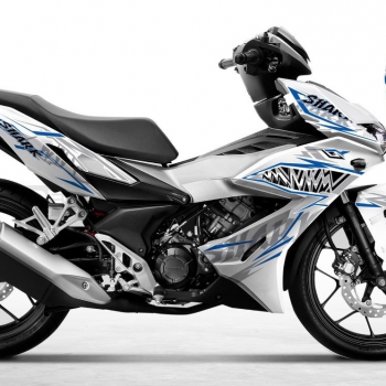 DECAL Winner mẫu 21