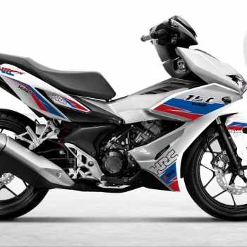 DECAL Winner mẫu 23