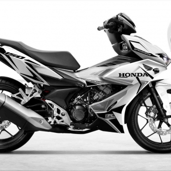 DECAL Winner mẫu 2