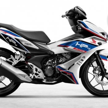 DECAL Winner mẫu 27